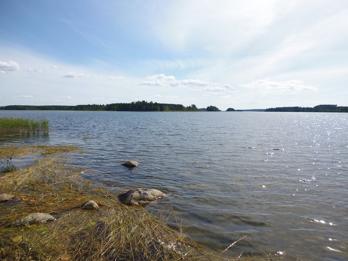 Niitetty Kevätösniemi