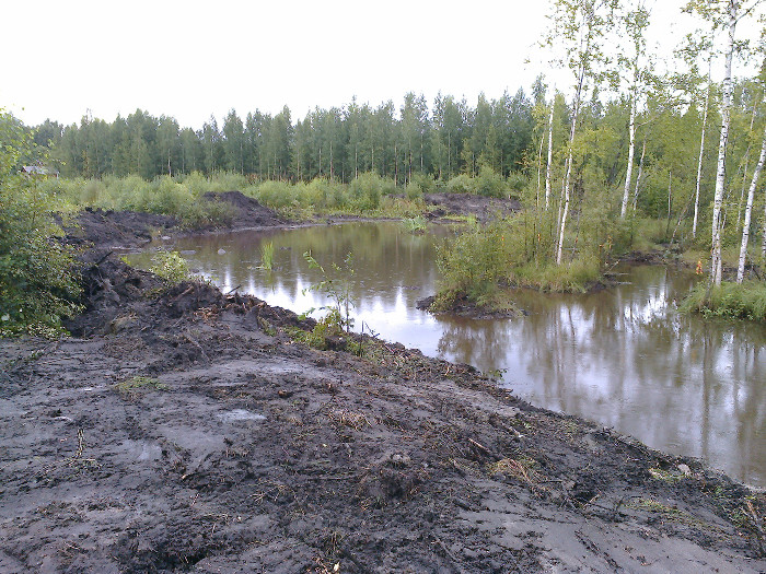 Valmista kosteikkoa