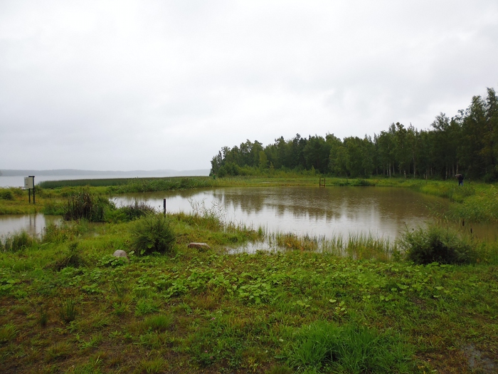Sähköistetty kosteikko