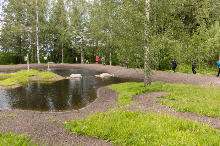 Sammonlahden hulevesikosteikko on viihtyisä ympäristö