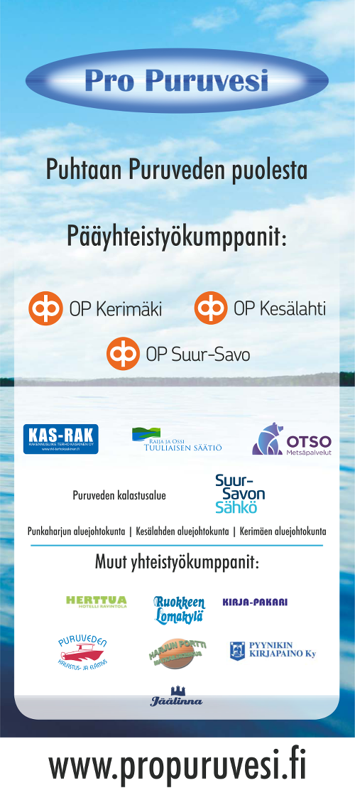 Yhteistyö-rollup vuodelle 2016