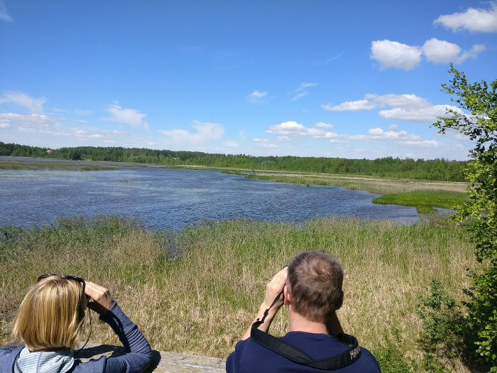 Ahtialanjärveä
