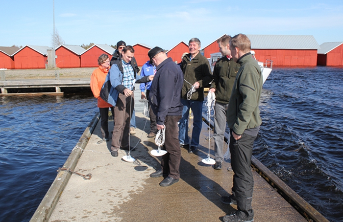 Käytännön harjoittelua