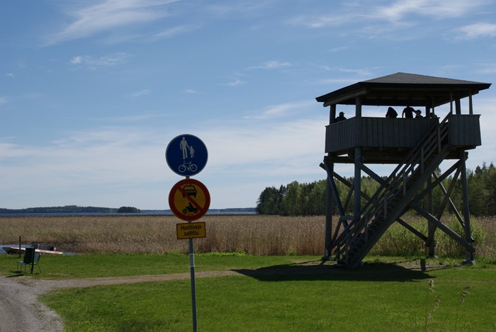 luontorasti