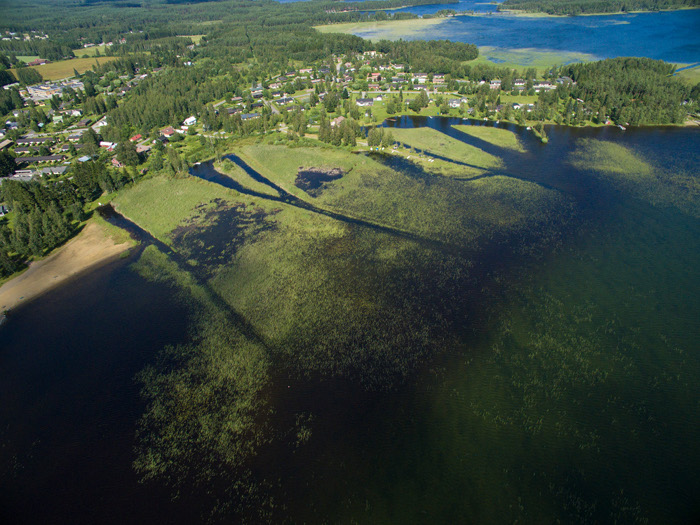 Matinniemen ranta ennen niittoja