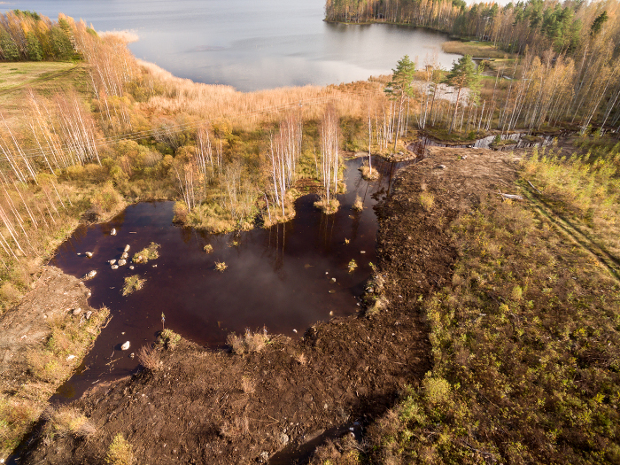 Ilmakuva Likolahden kosteikosta