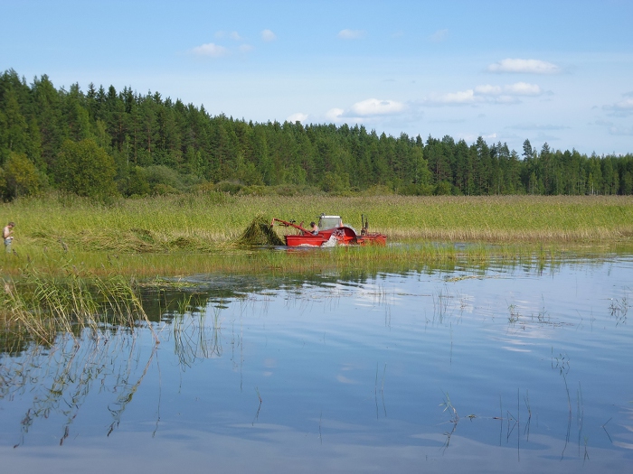 Myllylahden niitto käynnissä