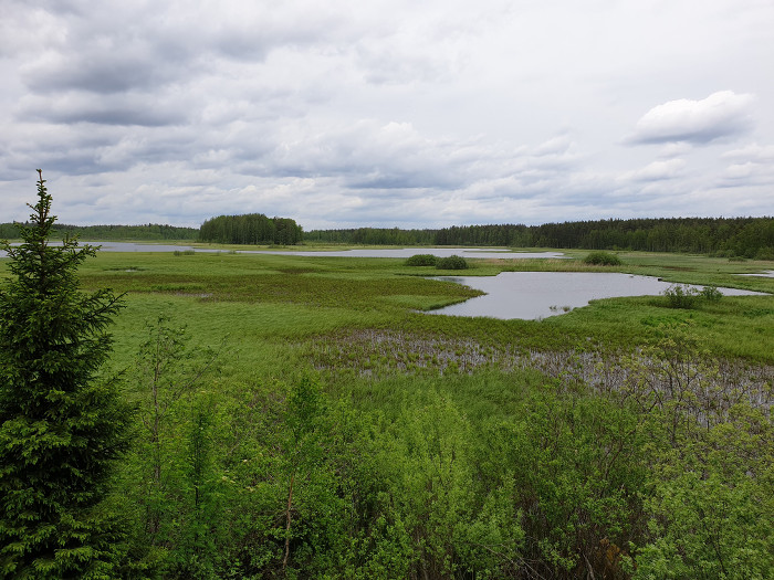 Lintujärvikohde